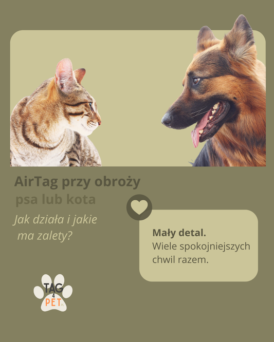 AirTag przy obroży psa lub kota- jak działa i co warto o nim wiedzieć?